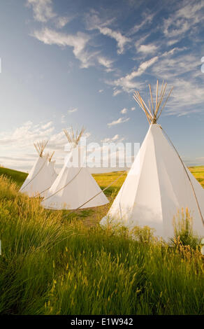 Tipis, The Crossing Resort, bord du Parc National, près de Val Marie, Saskatchewan, Canada Banque D'Images