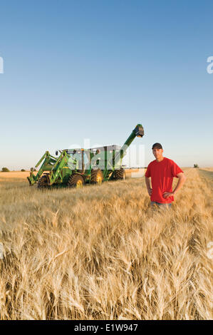 Jeune agriculteur dans son champ de blé dur à maturité au cours de la Moisson de céréales dans le fond près de Ponteix Saskachewan Canada Banque D'Images