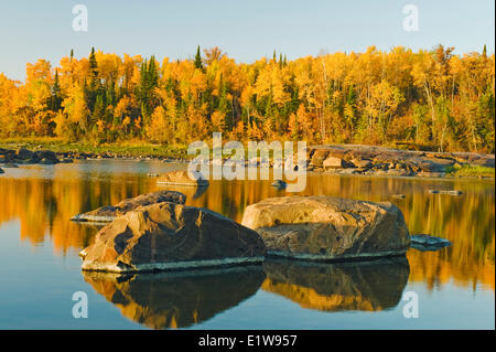 Roche du Bouclier précambrien, le long de la rivière Winnipeg aux couleurs de l'automne en arrière-plan, près de sept Sœurs, Manitoba, Canada Banque D'Images