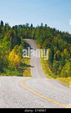 Route pavée traversant la forêt, le lac des Bois, Ontario, Canada Banque D'Images