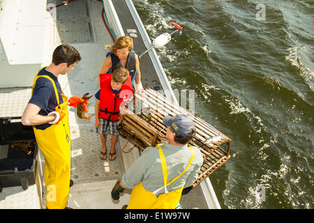 Jeune garçon et sa mère parler aux pêcheurs de homard, Northport, Prince Edward Island, Canada Banque D'Images