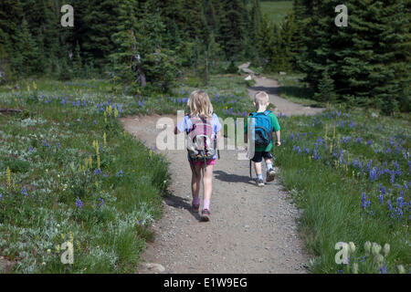 Jeune garçon et fille randonnées dans les prairies alpines, Heather Trail, Manning Provincial Park, British Columbia, Canada Banque D'Images