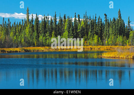 Lac en forêt boréale, près de Ft. Smith, Territoires du Nord-Ouest, Canada Banque D'Images