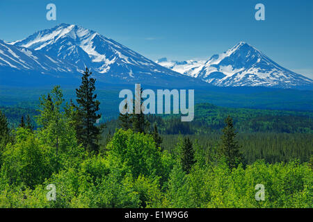 La nature et les montagnes le long de la route Stewart-Cassiar, British Columbia, Canada Banque D'Images