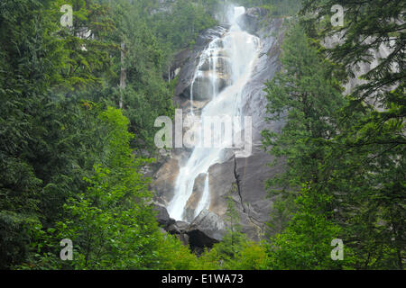 Shannon Falls, Shannon Falls Provincial Park, British Columbia, Canada Banque D'Images