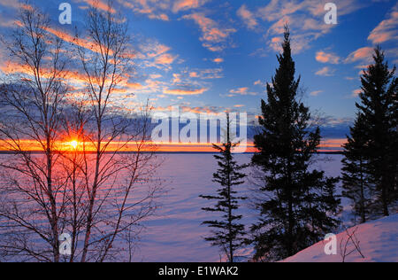 Bouleau au coucher du soleil sur le lac Waskesiu, parc national de Prince Albert, Saskatchewan, Canada Banque D'Images