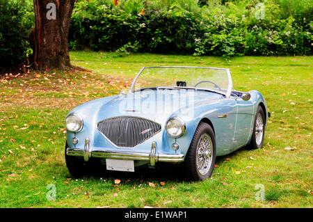 Une Austin Healey 100 à l'anglais sur la plage British Car Show à plage de transfert à Ladysmith, BC, Canada. Banque D'Images