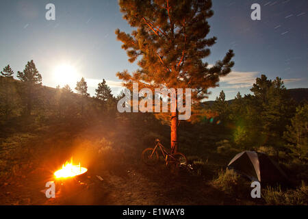 Un vélo de montagne camping out pendant un road trip - préparer pour monter le monarque Crest Trail le lendemain, Salida, CO Banque D'Images