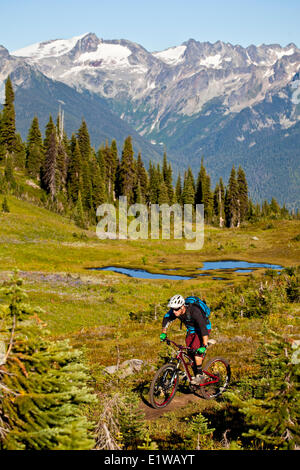 Un homme en vélo de montagne le flowy, high alpine Frisby Ridge trail. Revelstoke, BC Banque D'Images