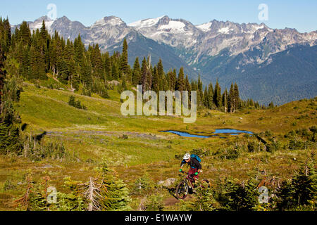 Un homme en vélo de montagne le flowy, high alpine Frisby Ridge trail. Revelstoke, BC Banque D'Images