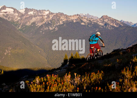 Un homme en vélo de montagne le flowy, high alpine Frisby Ridge trail. Revelstoke, BC Banque D'Images