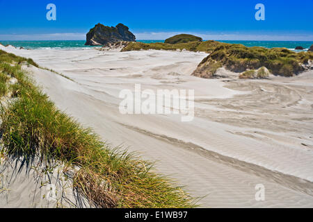 Wharariki Beach et près de la mer de Tasman et Spit Adieu la ville de Puponga, district de Tasmanie, l'île du Sud, Nouvelle-Zélande. Banque D'Images