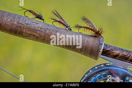 La tige de mouche, des mouches de pêche et bobine de pêche, British Columbia, Canada Banque D'Images