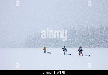 Ski de randonnée, ski de randonnée, le parc du lac Bowron, British Columbia, Canada Banque D'Images