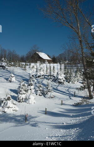 Scène d'hiver avec grange sur d'Oro-Medonte, Ontario, Canada Banque D'Images