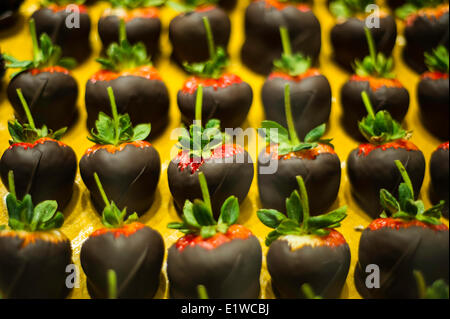 Un bac de bio frais des fraises au chocolat. Banque D'Images
