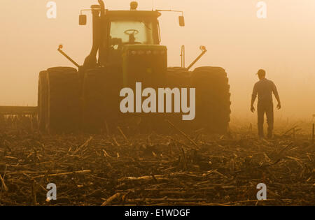 Un agriculteur s'approche d'un tracteur tirant cultiver matériel dans un champ de tournesol, près de Lorette, Manitoba, Canada Banque D'Images