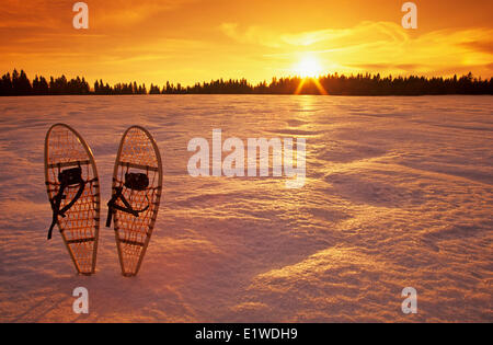 Raquettes, parc provincial Birds Hill, Manitoba, Canada Banque D'Images