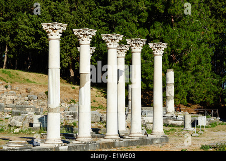 Grèce, Îles du Dodécanèse, l'île de Kos, colonnes de l'ancienne ville grecque de Asklepieion Banque D'Images