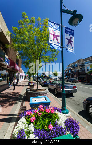 Beacon Ave, Sidney's Main Street est une merveilleuse expérience de marche, errant parmi les boutiques, restaurants et éclectique numero