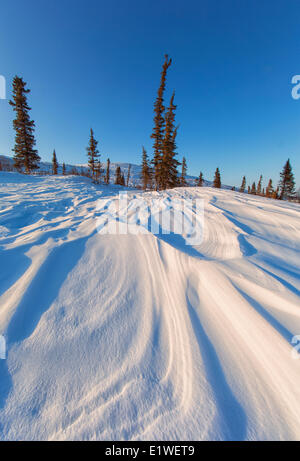 Le vent des amoncellements de neige sculpté au coucher du soleil sur la Montagne-de-Corbeau, Old Crow, dans le nord du Yukon. Banque D'Images