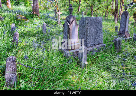 Des pierres tombales dans un vieux cimetière, Duncan (Colombie-Britannique). Banque D'Images