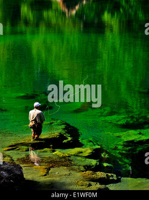 L'homme pêche de mouche, l'île de Vancouver, Stamp River, Colombie-Britannique, Canada Banque D'Images