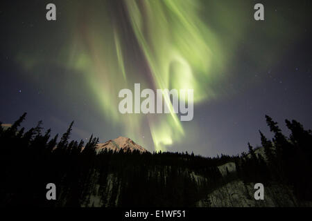 Northern Lights ou des aurores boréales illuminent le ciel nocturne à l'extérieur du Yukon Whitehorse (Yukon). Banque D'Images