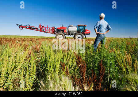 Un homme donne sur les mauvaises herbes dans un champ à côté d'un pulvérisateur enjambeur, près de Moreland, Saskatchewan, Canada Banque D'Images