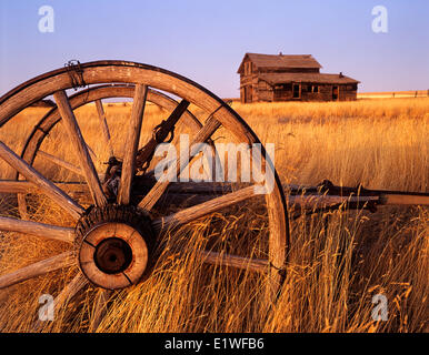 Ancienne maison de ferme abandonnée et wagon, près de Ponteix, Saskatchewan, Canada Banque D'Images