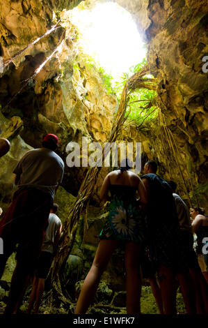 Explorer une grotte dans le parc national Los Haitises, République Dominicaine Banque D'Images