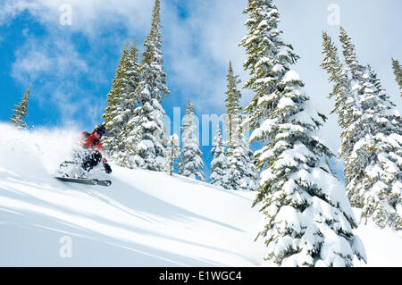 Un ski femme en bleu ciel et en poudre d'hiver Whitewater Resort, Nelson, Colombie-Britannique Banque D'Images