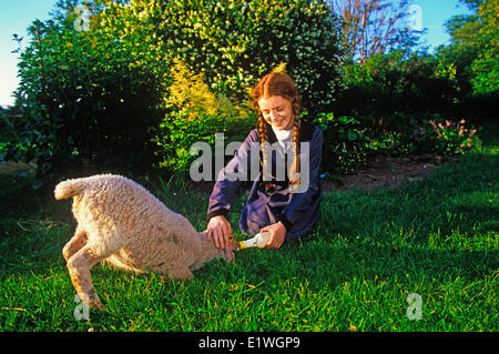 Anne of Green Gables, Orwell Corner Village historique, l'Île du Prince Édouard, Canada, modèle publié Banque D'Images