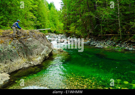 L'homme pêche de mouche, l'île de Vancouver, Stamp River, Colombie-Britannique, Canada Banque D'Images