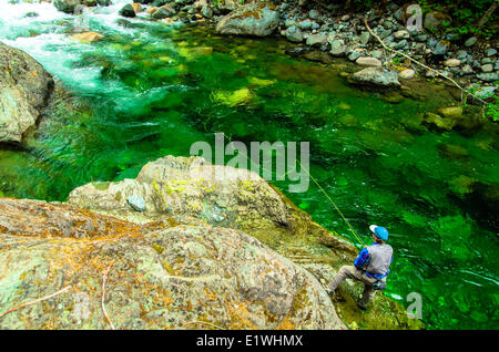 L'homme pêche de mouche, l'île de Vancouver, Stamp River, Colombie-Britannique, Canada Banque D'Images