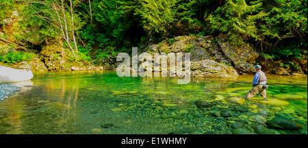 L'homme pêche de mouche, l'île de Vancouver, Stamp River, Colombie-Britannique, Canada Banque D'Images