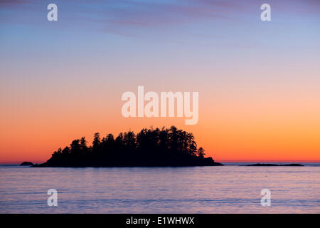 Île en face de la plage de MacKenzie, Tofino, Colombie-Britannique, Canada Banque D'Images