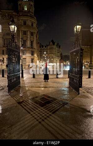 Le Soldat de garde à Horse Guards Banque D'Images