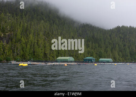 Salmon Farm Archipel Broughton un groupe d'îles sur le flanc nord-est du détroit de la Reine-Charlotte, Colombie-Britannique Canada Banque D'Images