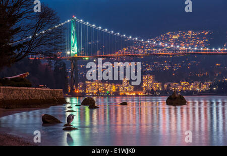 Le Grand Héron et le pont Lions Gate, Vancouver, B.C. Canada. Banque D'Images