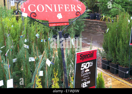 Australian Garden Center à Terrey Hills, Sydney, NSW, Australie Banque D'Images