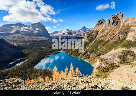 Le lac O'Hara, Oderay, montagne et de montagne de la cathédrale Wiwaxy pics de l'Yukness les corniches, le parc national Yoho, en Colombie-Britannique Banque D'Images