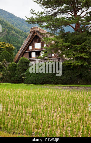 Site du patrimoine mondial de l'UNESCO le village historique de Shirakawa-go dans le nord du Japon est célèbre pour son Gassho-zukuri Banque D'Images