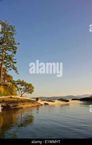 Canoës sur la plage de shell (midden), l'île Russell, Gulf Islands, British Columbia, Canada Banque D'Images