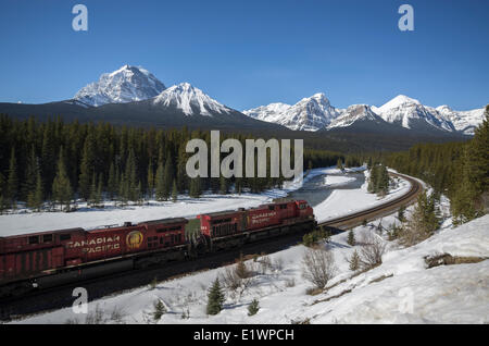 Train de marchandises du Canadien Pacifique sur la courbe "ornant" dans les Rocheuses canadiennes dans le parc national de Banff, Alberta, Canada. Banque D'Images