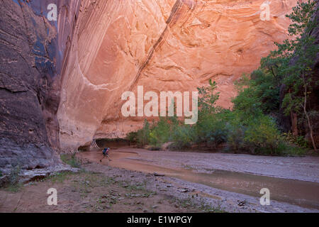 Backpacker Coyote Gulch, Grand Staircase-Escalante National Monument , Utah, United States Banque D'Images