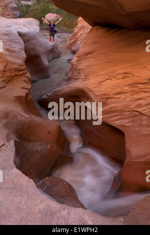 Randonneur et ruisseau dans Grandstaircase-Escalante Coyote Gulch, Monument National, Utah, United States Banque D'Images