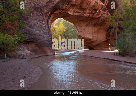 Randonneur à Jacob Hamblin Arch dans Coyote Gulch, Grandstaircase-Escalante National Monument, Utah, United States Banque D'Images