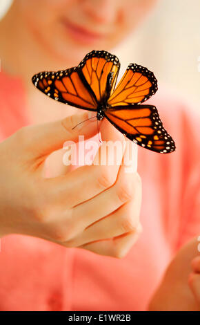 Girl un papillon dans ses mains Banque D'Images