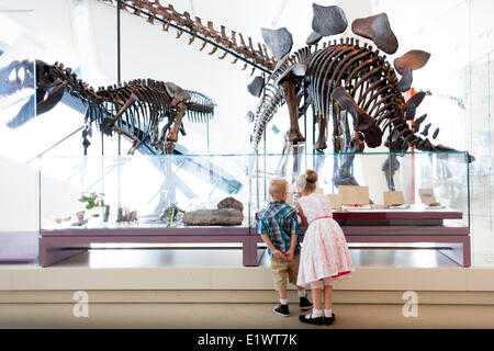 Fille et garçon à la recherche de fossiles de dinosaures au Musée royal de l'Ontario, Toronto, Ontario, Canada Banque D'Images